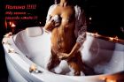 Настенька !!!, 8 927 510-66-22 Молодая шлюха Настенька !!!, Волгоград, от 1600 руб. в час, услуги круглосуточно